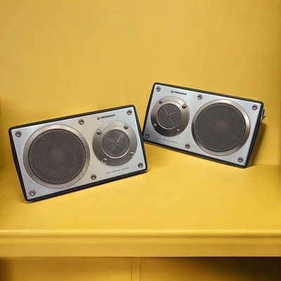 Pioneer TS-X9 Pekenine Classic Car Rear Speakers Lonesome Cowboy