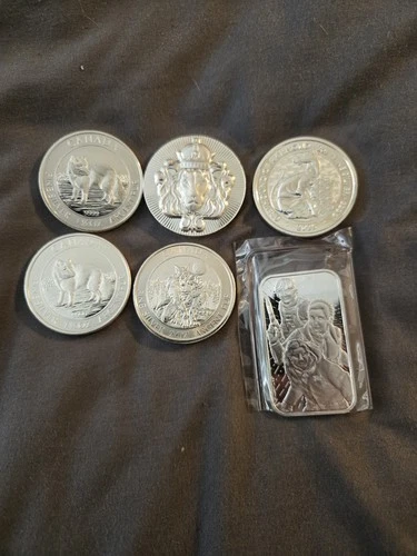 10 Oz Silver Lot