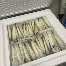 Breast Milk Over Supply