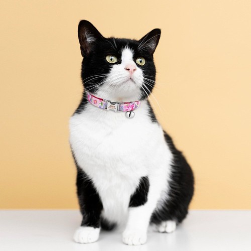 Kleines personalisiertes Katzenhalsband mit Ausweisschild graviertes Kätzchen Welpe Halsband mit Glocke - Bild 5 von 19