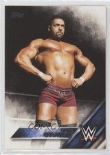2016 Topps WWE Then Now Forever David Otunga #115 00jz