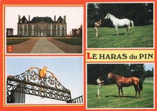 61 LE PIN AU HARAS GESTÜT NATIONAL DU PIN