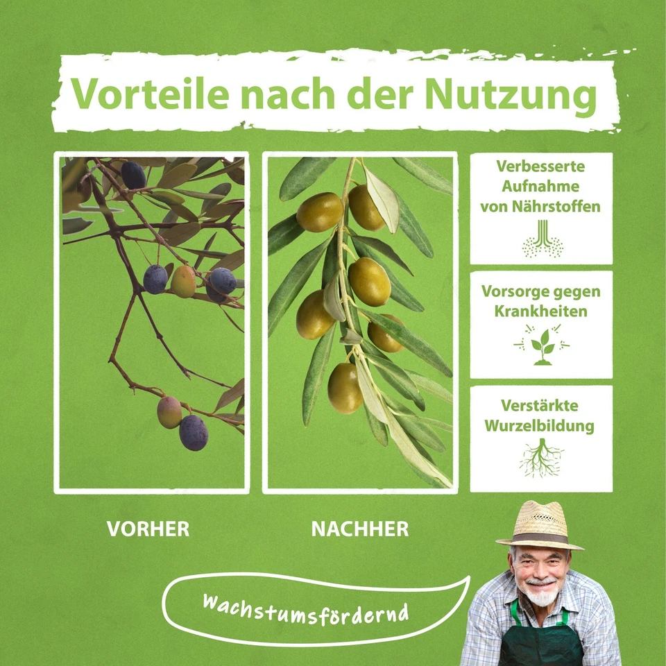 Olivenbaum Dünger Flora Boost Flüssigdünger für Olivenbäume 1 Liter - Bild 4 von 4