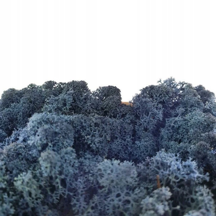 Islandmoos Rentiermoos Reindermoos Natur Moos konserviert Farben Dekomoos 6 Farb - Bild 3 von 4