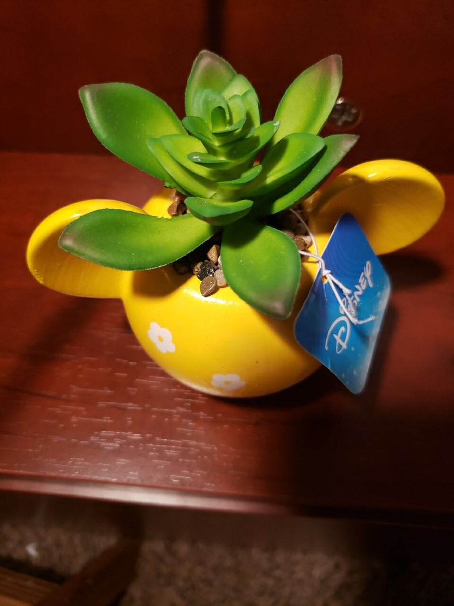Disney Mickey Mouse Mini Faux Succulent/Yellow/White Stamped Flowers