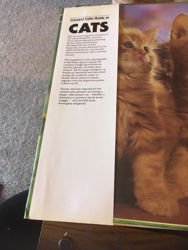 Crescent Color Guide to Cats by Angela Sayer 1980 HC DJ - Imagen 2 de 8