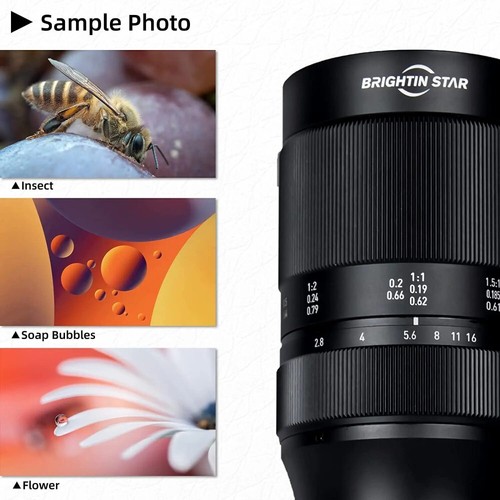 Brightin Star 60mm F2.8 II 2X Magnification Macro Lens for Fuji Sony Canon Nikon - Picture 13 of 16