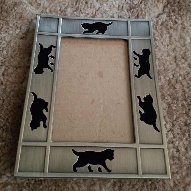 Carr Frames 3 5 X5 Cat Frame Cut Out Silver Brushed Metal 1997 Hb Group For Sale Online Carr Frames 3 5 X5 Cat Frame Cut Out Silver Brushed Metal 1997 Hb Group For Sale Online