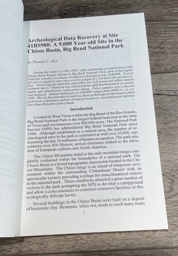 THE JOURNAL OF BIG BEND STUDIES Volume 11 1999 Archaeological Data Recovery MINT - Picture 6 of 7