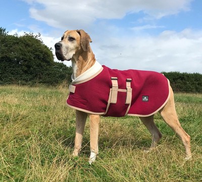 Giant Breed Wolfhound Bonded Fleece Coat 95cm Super Giant Male