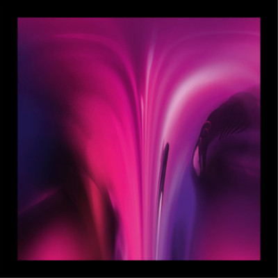 Ame Dream House (Vinyl) 12'' Album