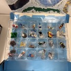 Picture 11 of 24