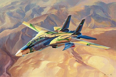 HobbyBoss 081771 1/48 F-14A Tomcat, Persian Cat
