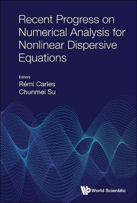 Remi Carles Recent Progress On Numerical Analysis For Non (Hardback) (UK IMPORT)