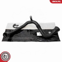 Esen SKV Ladeluftschlauch 54SKV529 FüR Renault Megane 3 KZ0 BZ0 ScÉNic JZ0 DZ0