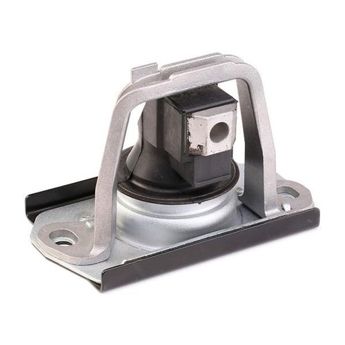 Delphi TEM043 Engine mount front right, hydraulic - Picture 4 of 5