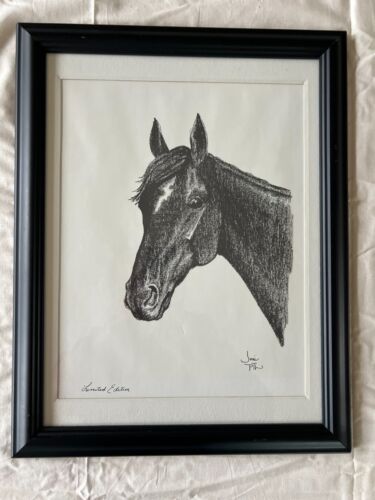 Joni Eareckson Tada , Joni PTL, Print of a Horse Head Limited Edition Art Framed - Afbeelding 1 van 5