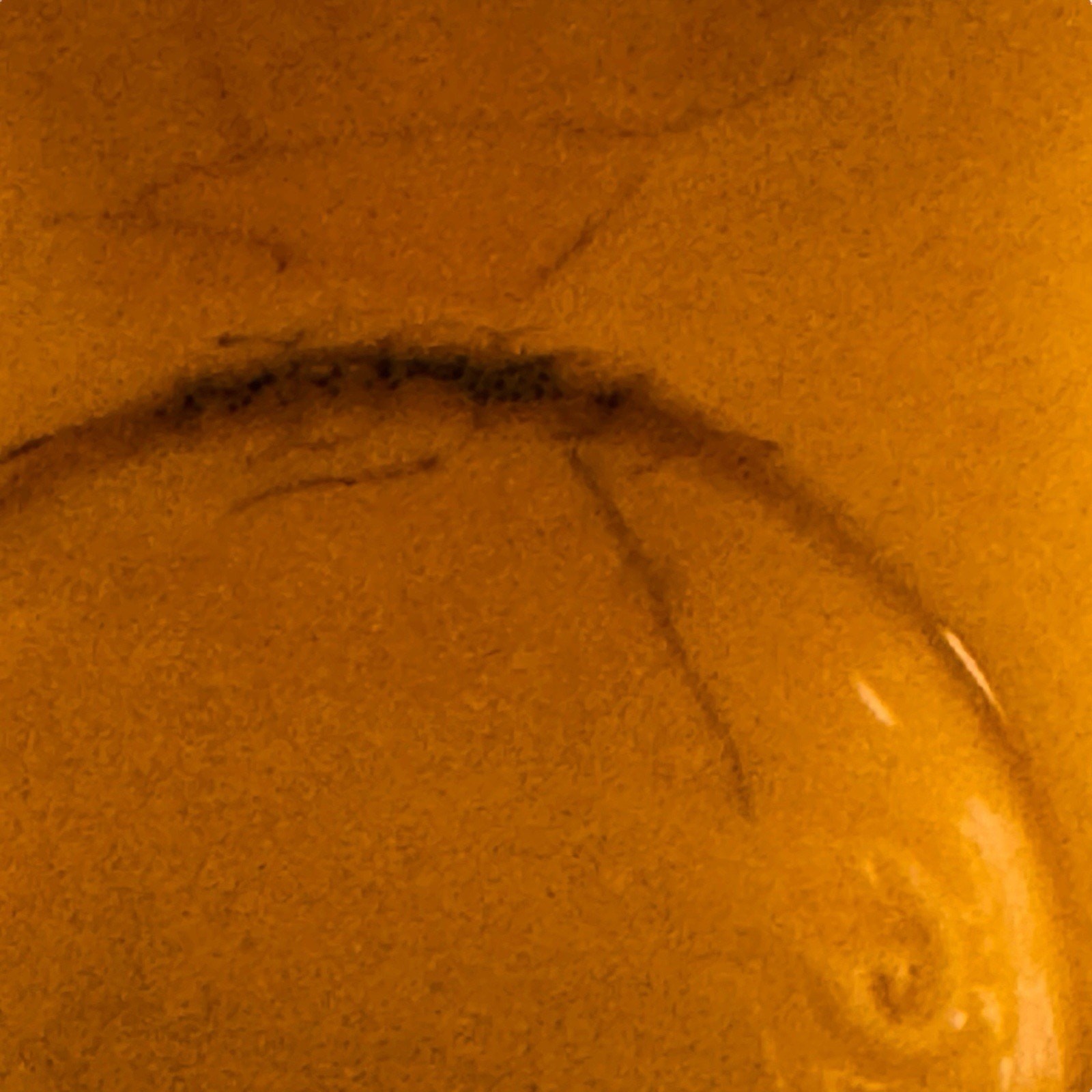 Picture 9 of 9