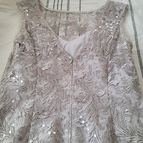 NWT Adrianna Papell Embroidered Midi Cocktail Dress Fit & Flare Taupe Size 6 - Picture 12 of 15