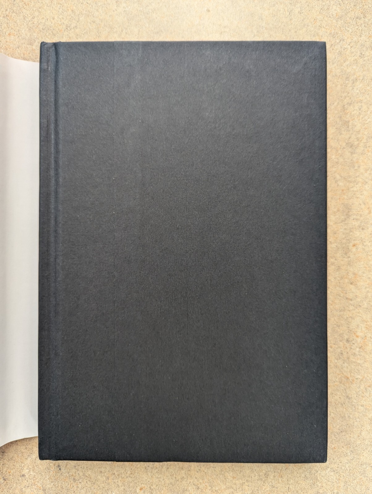 The Rules Do Not Apply by Ariel Levy. Signed 1st Ed., 1st Ptg. Like New cond.