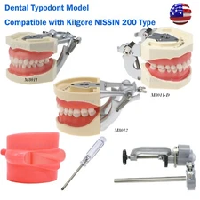 US Dental Typodont Study Detachable Model With Simulated Cheek And Mounting Pole