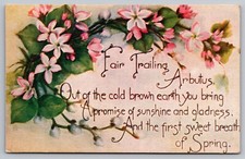 Postcard: Arbutus, Strawberry Tree, Poem, L. F. Pease, Divided Back, Unposted