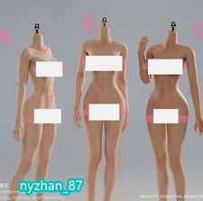 VERYCOOL VCD-02 1/6 Female Seamless Body Mid Chest Silicone Body For 12'' Figure