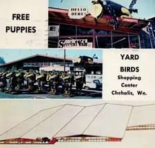 The Yard Birds Shopping Center Free Puppies Elma Washington Postcard