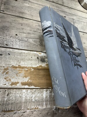 THE BOOK 『Echoes of Life』 250px-