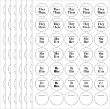 840 Pcs 24 Sheets Pronoun Stickers Bulk for Conference Badges They Them