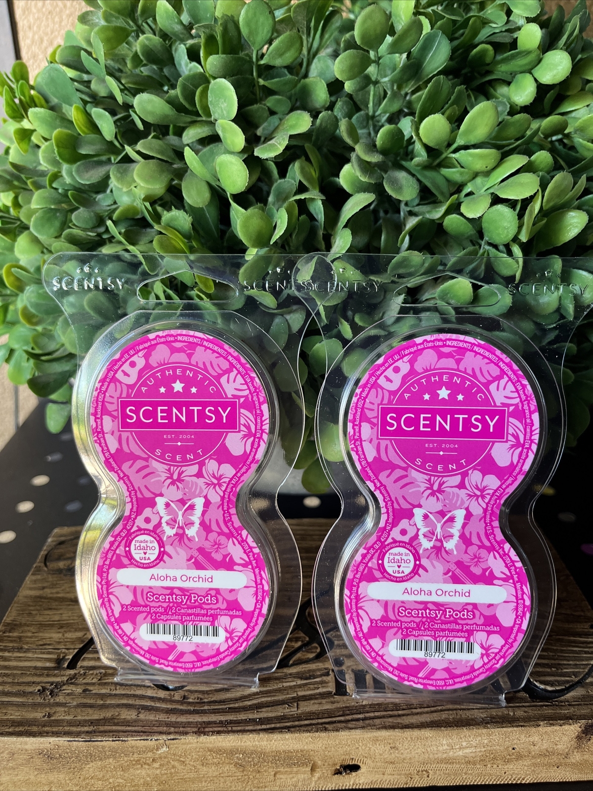 2x Scentsy Go Pods Pod Fragrance NIP New Aloha Orchid | eBay
