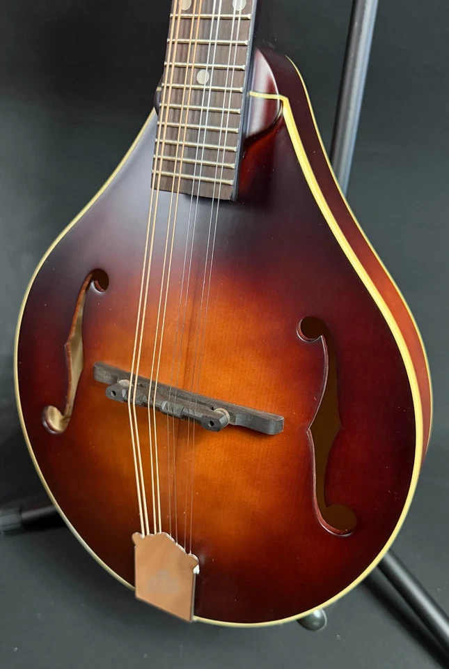 Loar LM-110 «Медовый ручей» ручной резьбы A-стиль мандолина винтажный коричневый взрыв - Изображение 4 из 4