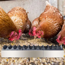 Poultry Feeder Trough Chick Feeding Dispenser Metal No Waste Multi Hole Poultry