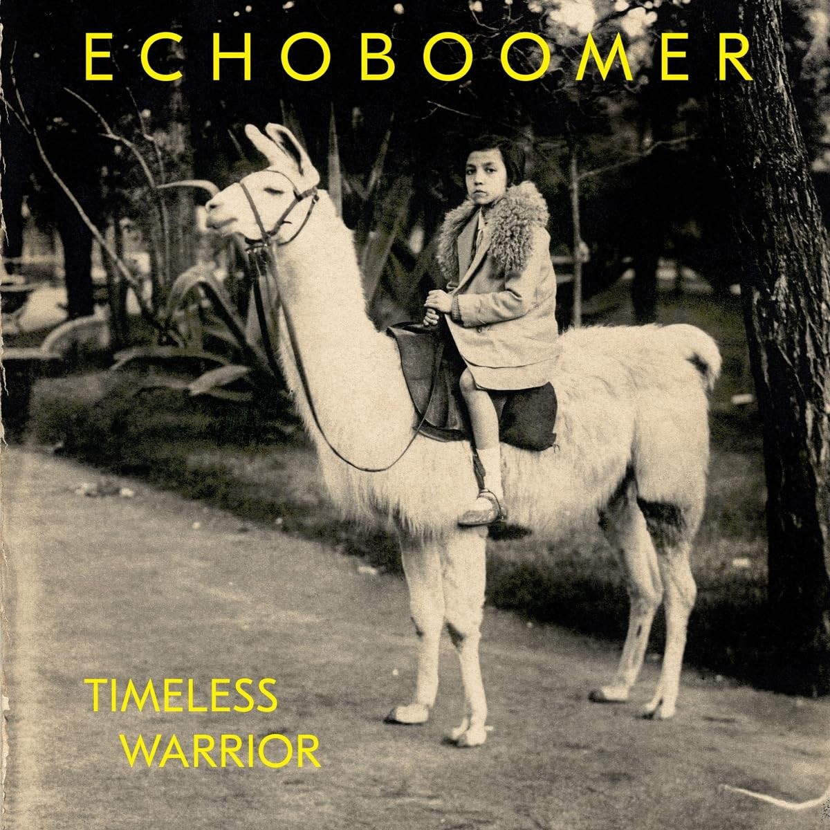 Echo Boomer Timeless Warrior (винил) (ИМПОРТ ИЗ Великобритании)