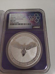 Lot Of 2 Wedged Tail Eagle