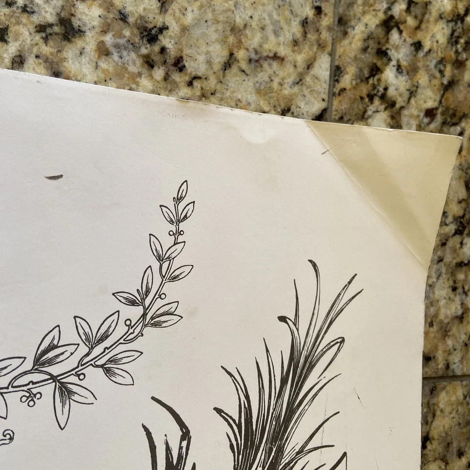 Hester & Cook ESCRIBE EN PAPELES DE COCINA PARA COMER Y SERVIR 50 MANTELES DE PAPEL Foto 4 de 4