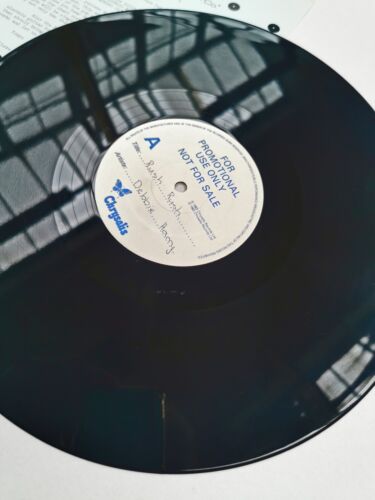 BLONDIE Debbie Harry 12" Rush Rush PROMO ONLY UK VINYL Test Pressing + PRESS REL - Picture 3 of 10