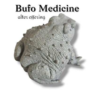 Bufo Medicine Alter Offering Bufo alvarius Figure