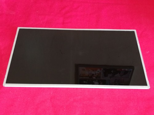 N156B6-L04 Rev.C1 LCD Display 40PIN Für OLIVETTI OLIBOOK S1500 Notebook