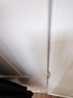 Foto 7 di 18