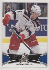 2016-17 Upper Deck AHL SP Joe Hicketts #136 o6n