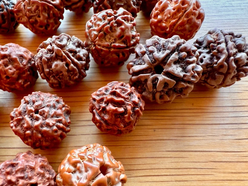 Gauri Shankar Nepal Natural Rudraksha Java Bead Lot Brown Round Seed 26 Pcs - Image 4 of 4