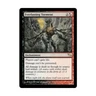 WOTC MtG Shadowmoor Everlasting Torment (R) (Foil) VG