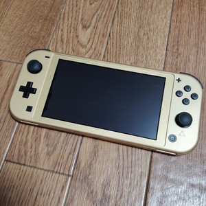 Hyrule Switch Lite | eBay