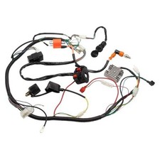 ATV Electric Wiring Harness Wire Loom CDI Coil for Go Kart Quad Bike 150cc