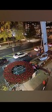 20ft Elite Wreath w/ Red Decor & Warm White LED Mini Lights