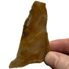 Golden HEBER UTAH PETRIFIED WOOD SLAB ~  26gr/ rough agate jasper cab rock — photo 2
