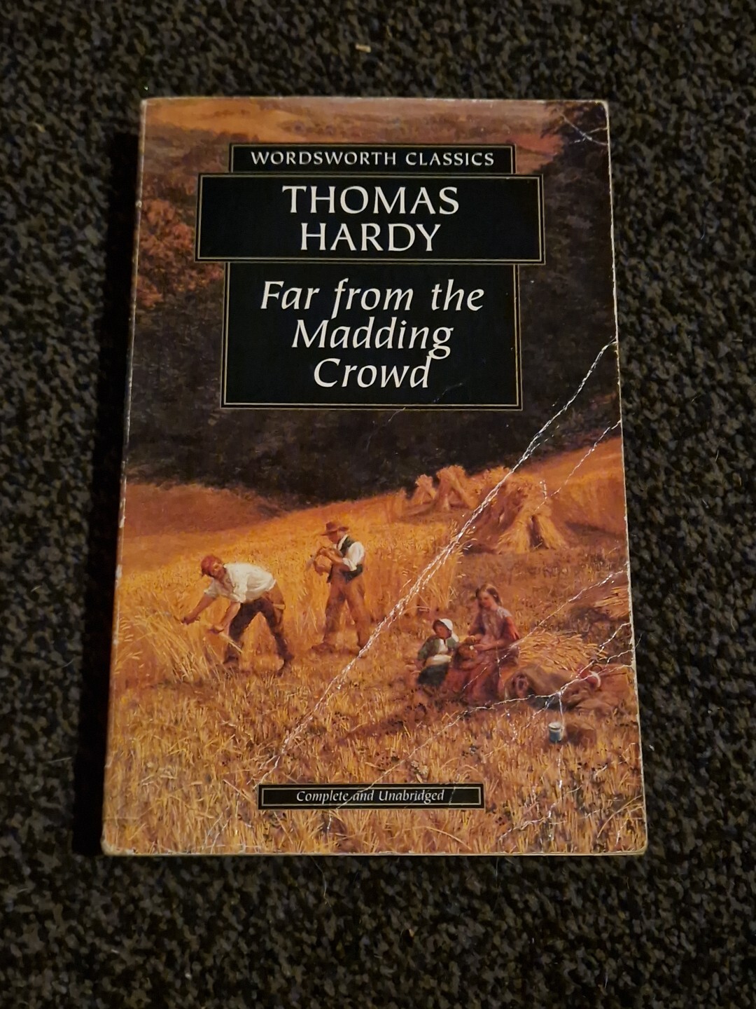 Far from the Madding Crowd by Thomas Hardy