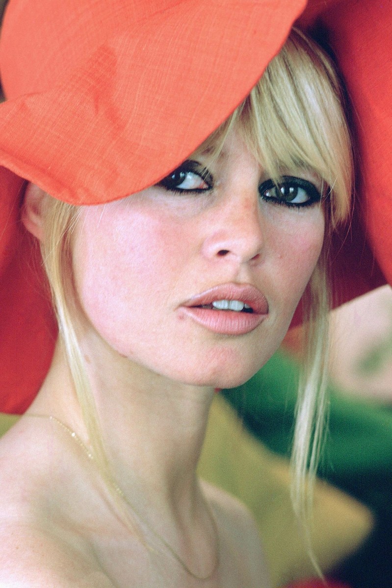 Brigitte Bardot Sunbath Photograph – 8x10 Inch Celebrity Print