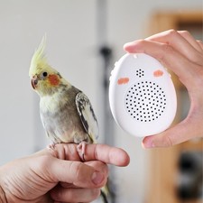 Papageien-Lernmaschine, Papageien-Sprechtrainer f&uuml;r Sittiche, Mynah,